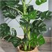 Árvore Monstera Artificial PE, PP, Cimento Outsunny Verde