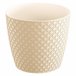 5,4L Orient Pote Creme