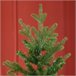 Árvore Natal Artificial PE, PVC, Metal HOMCOM, casa - natal Verde