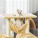 Árvore Arranhador para Gatos Bege