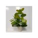 Planta artificial com vaso ASHLEY Multicor