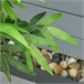 Bambú Artificial PE HOMCOM, casa - decoração Verde