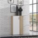Sapateira 2 portas BOOTS Branco