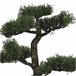 WELL HOME - Bonsai artificial em vaso de cerâmica Verde