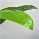 Bananeira Artificial PEVA, PE, Cimento HOMCOM, casa - decoração Verde