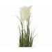 Planta artificial PAMPAS marca EVERLANDS FLOWERS AND PLANTS Verde