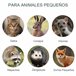 Armadilha viva Ferro PawHut Verde