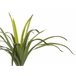 Beliani Planta artificial DRACAENA ANITA Verde