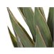 Beliani Planta artificial YUCCA Verde