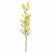 Planta floral MIMOSA 79,5cm marca CONFORAMA  Amarelo