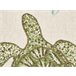 Beliani Almofada decorativa ALGAE Bege