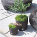 Pote de 8,7 litros com cubilete Antracite