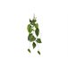 Planta artificial suspensa FILODENDRO marca MYCA Verde