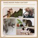 Árvore Arranhador para Gatos Bege