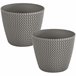 2x panela redonda 11.5l Prosperplast Splofy Cinza