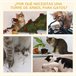 Arranhador para Gatos Aglomerado, Pelúcia e Corda de Sisal PawHut Bege