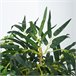 Árvore de bambu artificial PE, PP, Cimento Outsunny Verde
