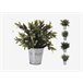 Planta artificial ZINC sortida Verde
