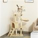 Arranhador para Gatos Aglomerado, Pelúcia e Corda de Sisal PawHut Bege