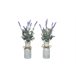 Planta de LAVANDA cores sortidas 32cm Roxo