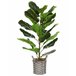 Beliani Planta artificial FIDDLE LEAF TREE Verde