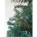 Árvore de Natal de efeitos reais Verde/ Cinza