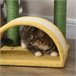 Árvore Arranhador para Gatos Amarelo