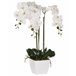Beliani Planta artificial ONCIDIUM ORCHID GR1531651