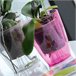3x Maceter de orquídea plástica Transparente