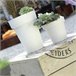 2x lofly plástico pote Branco