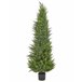 Beliani Planta artificial CEDAR TREE Verde