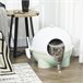 Caixa de Areia para Gatos PP e PC PawHut Verde