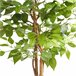árvore de ficus artificial Verde