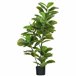 Planta Artificial PEVA e Metal HOMCOM, casa - decoração Verde