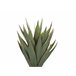 Beliani Planta artificial YUCCA Verde