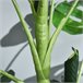 Árvore Monstera Artificial PE, PP, Cimento Outsunny Verde