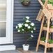 Árvore de Camélia Artificial PE, PP, Cimento, Tecido Outsunny Branco