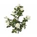 Planta articial ROSA marca EVERLANDS FLOWERS AND PLANTS Verde