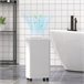 Desumidificador de Ar ABS HOMCOM Branco