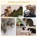 Arranhador para Gatos Aglomerado e Sisal PawHut Bege