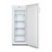 Congelador FV191N4AW2 Branco
