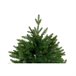 Árvore de Natal Verde