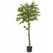 Beliani Planta artificial limoeiro Verde