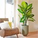 Planta artifical DIEFTENBAC marca EVERLANDS FLOWERS AND PLANTS Verde
