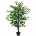 Árvore Artificial Ficus PE, PP, cimento e algodão lustroso Verde