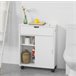 Armário utilitário de banho 2 portas e 1 gaveta BZR31-W SoBuy Branco
