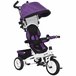 Triciclo Evolutivo para Bebés Poliéster e Metal HOMCOM Roxo
