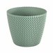 Potão redonda 18.6L Prosperplast Splofy Verde