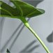 Árvore Monstera Artificial PE, PP, Cimento Outsunny Verde