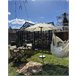 Beliani Cadeira de jardim MOLISE Branco/ Bege